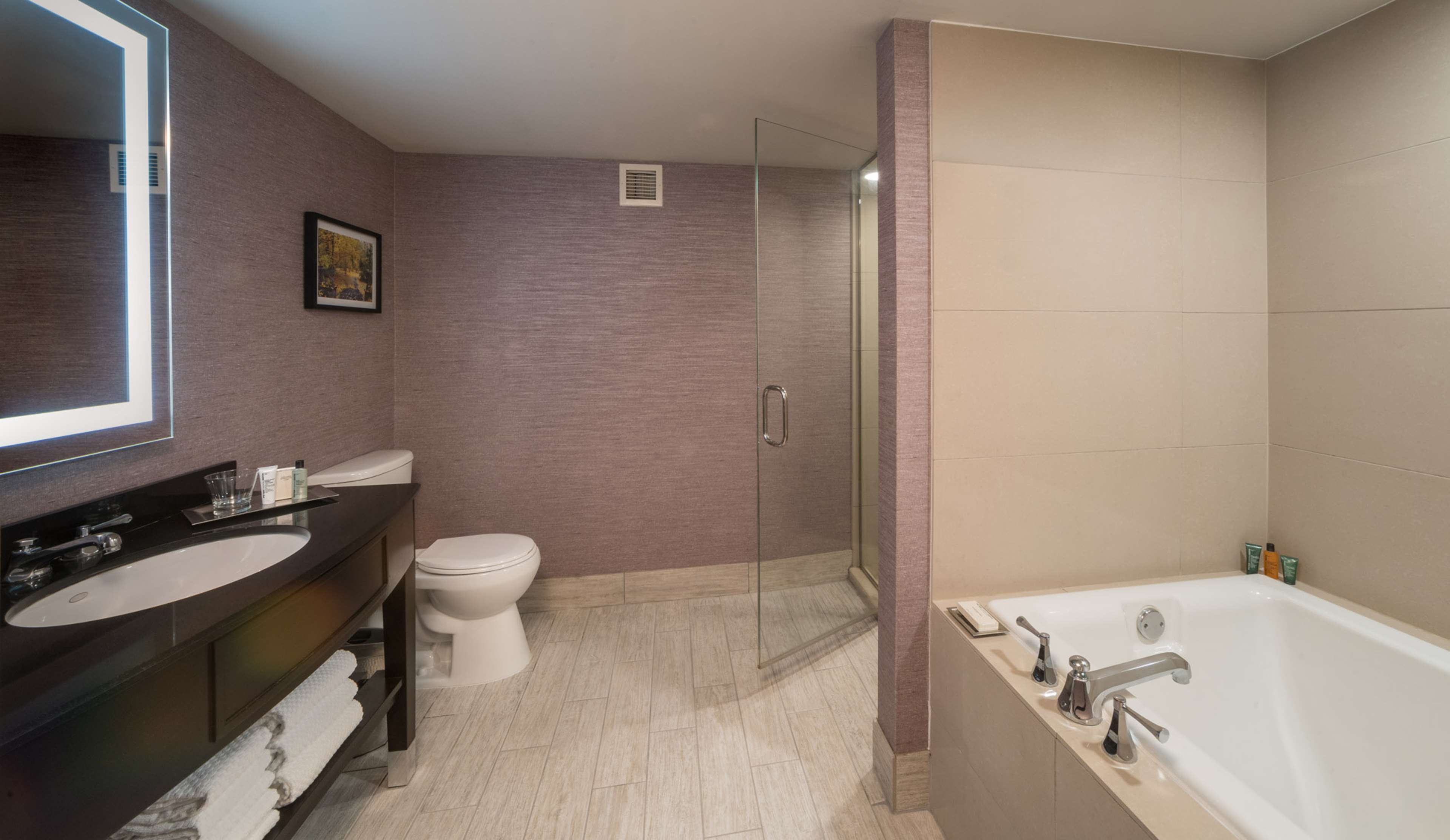 Guest room bath