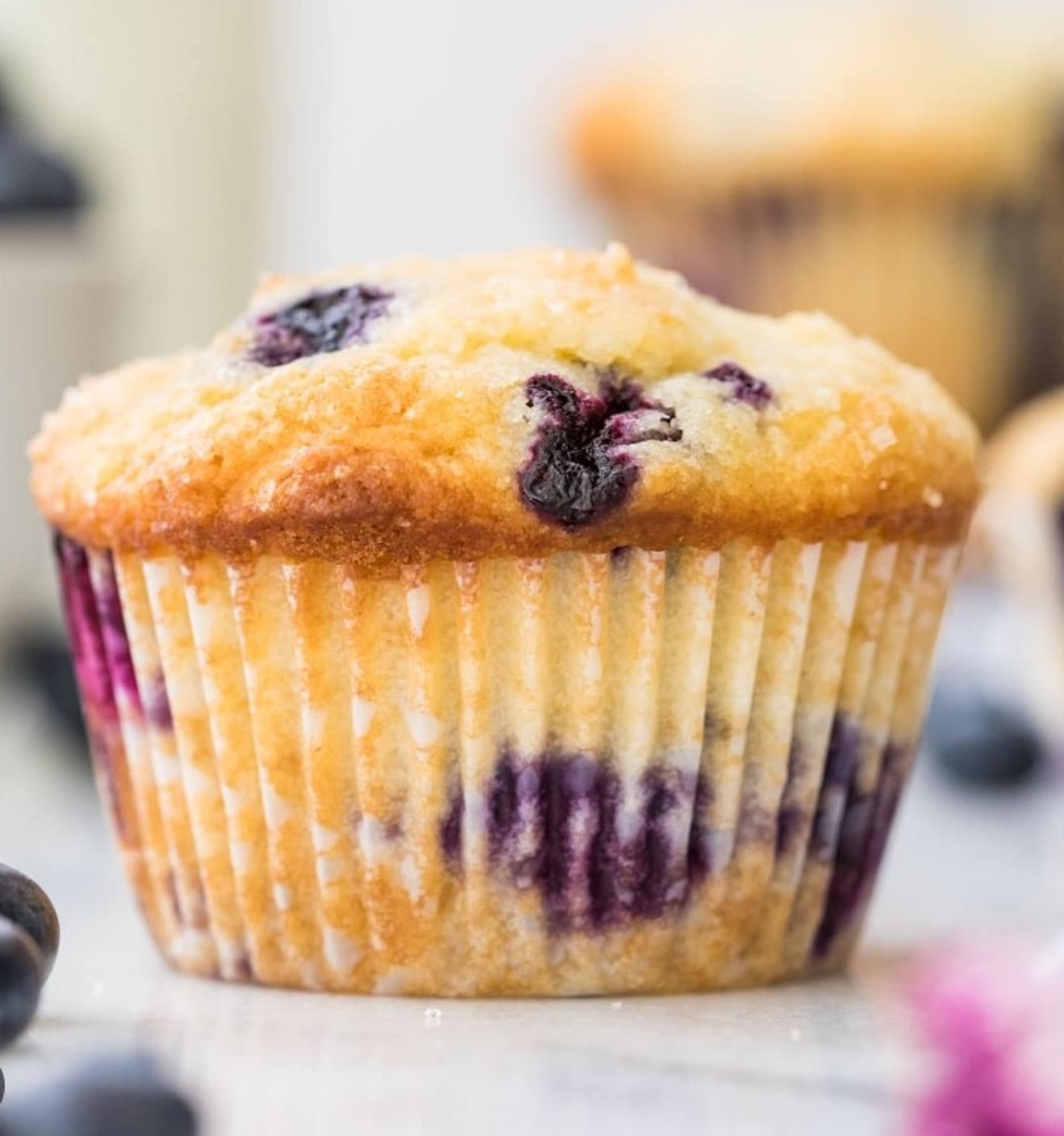 BLUEBERRY MUFFIN