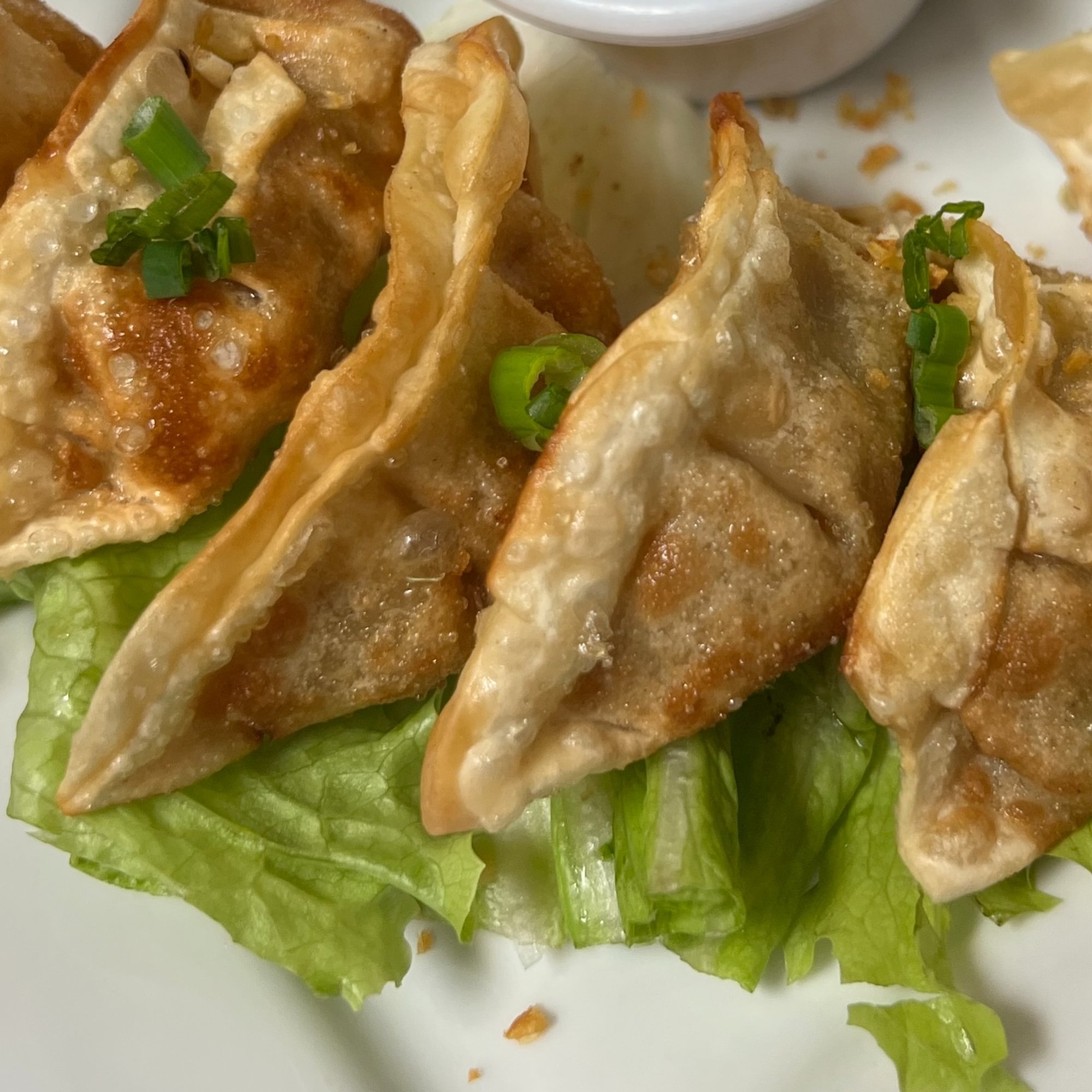 Steamed or Fried Dumpling