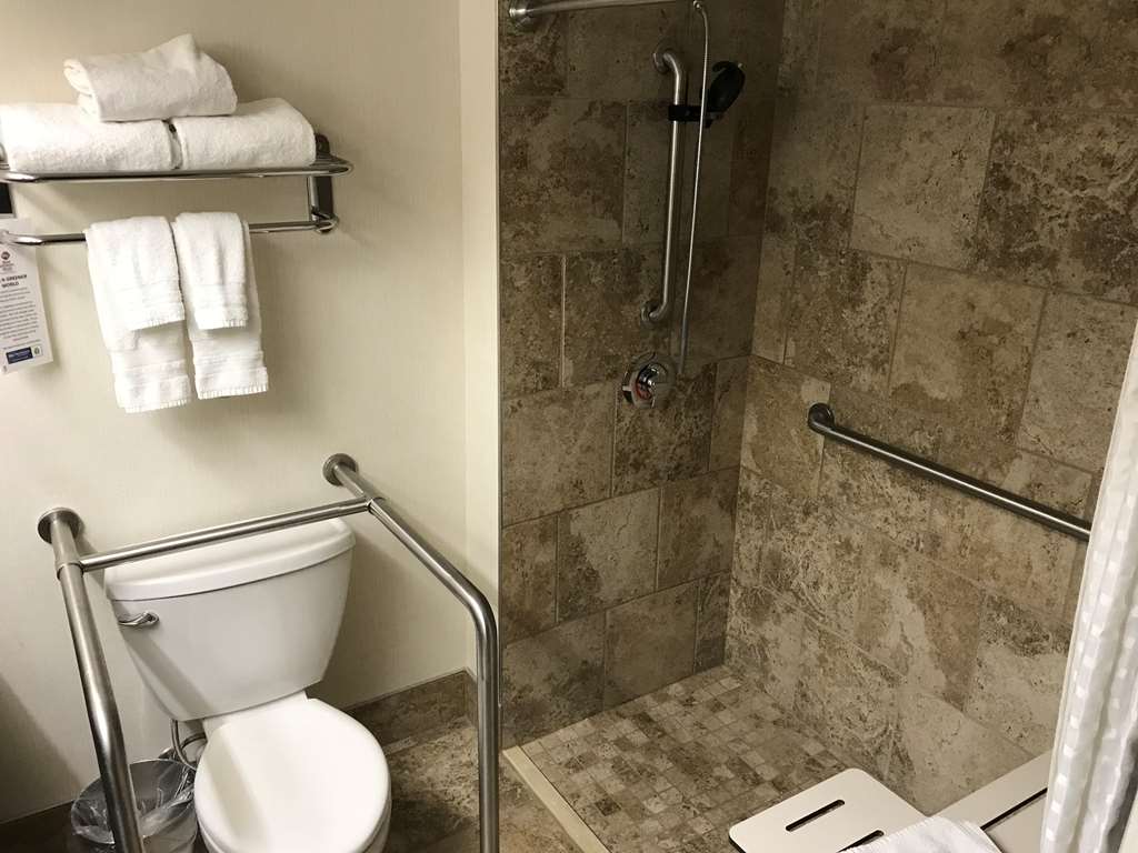 Handicap Accessible Bathroom