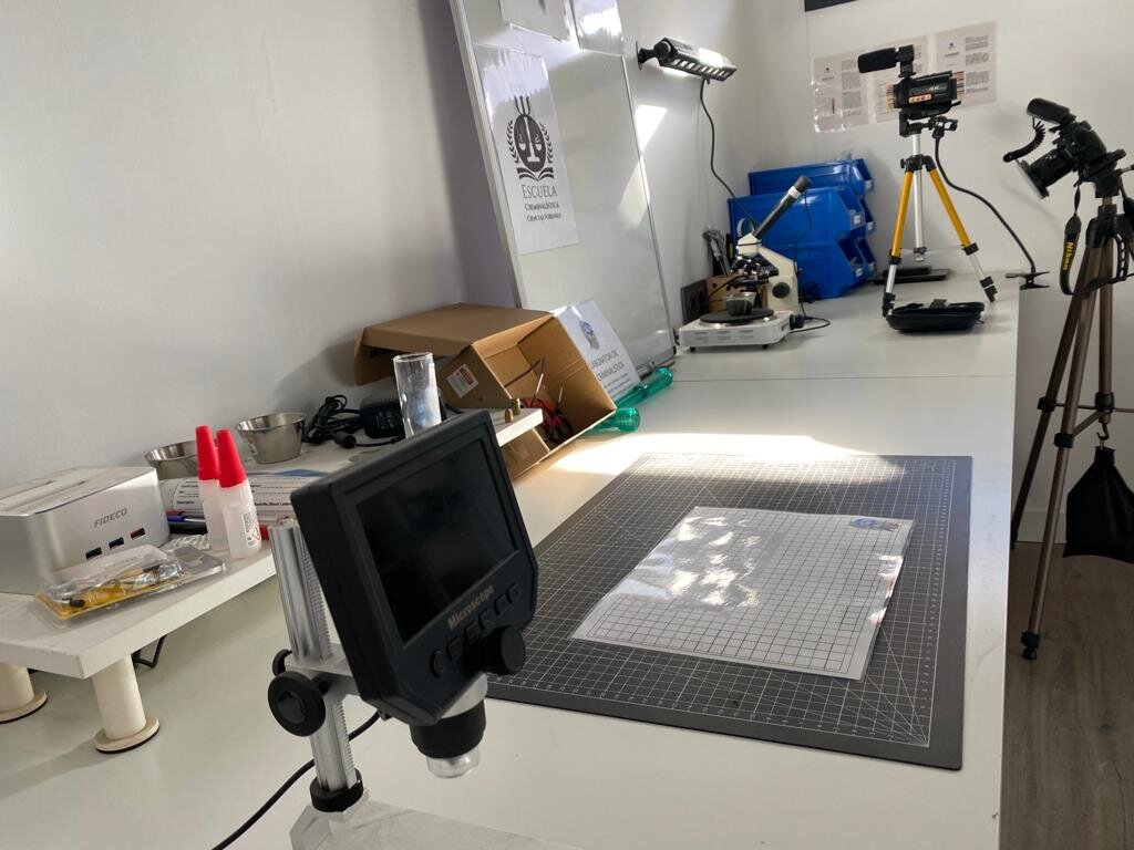 Galería en miniatura