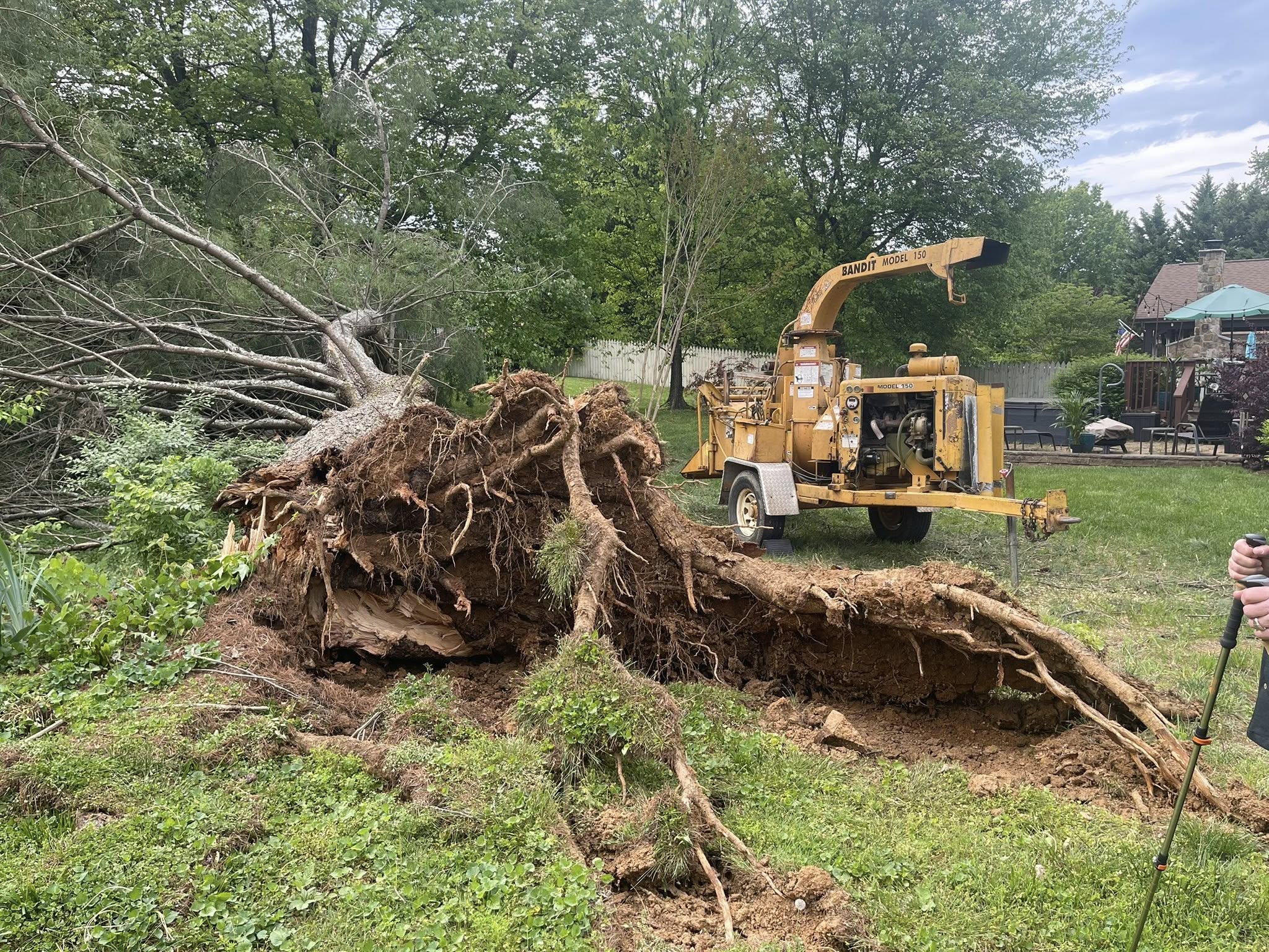 Victory One Tree Service & Stump Grinding Image