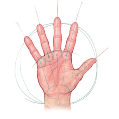 Logo von Ergotherapie Reinhold Wilfling