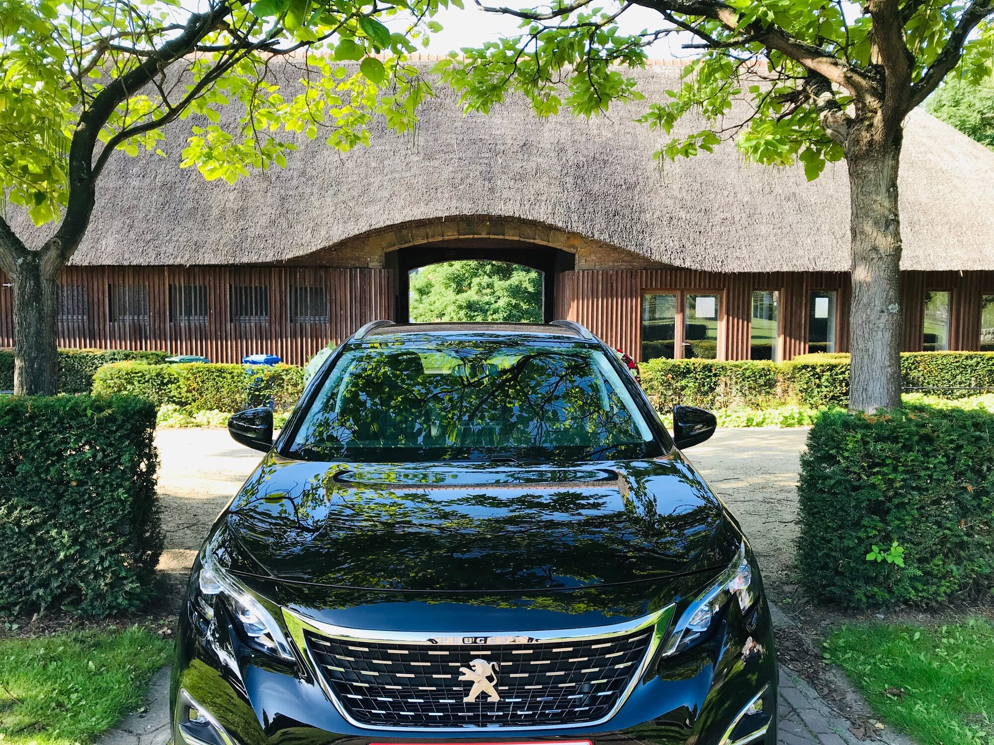 Miniature de la galerie