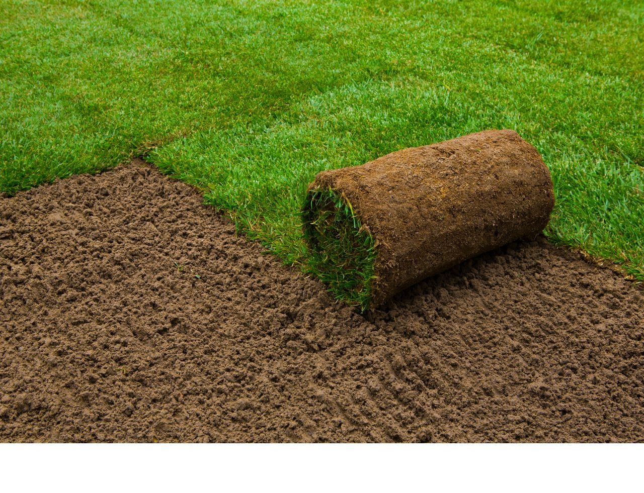 Arbor Landscape 2.0 Image