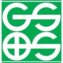 G. S. &amp; S. Construction Logo