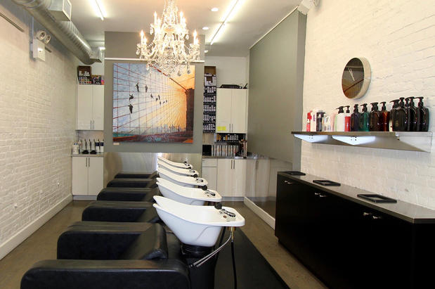 Images Shampoo Avenue B
