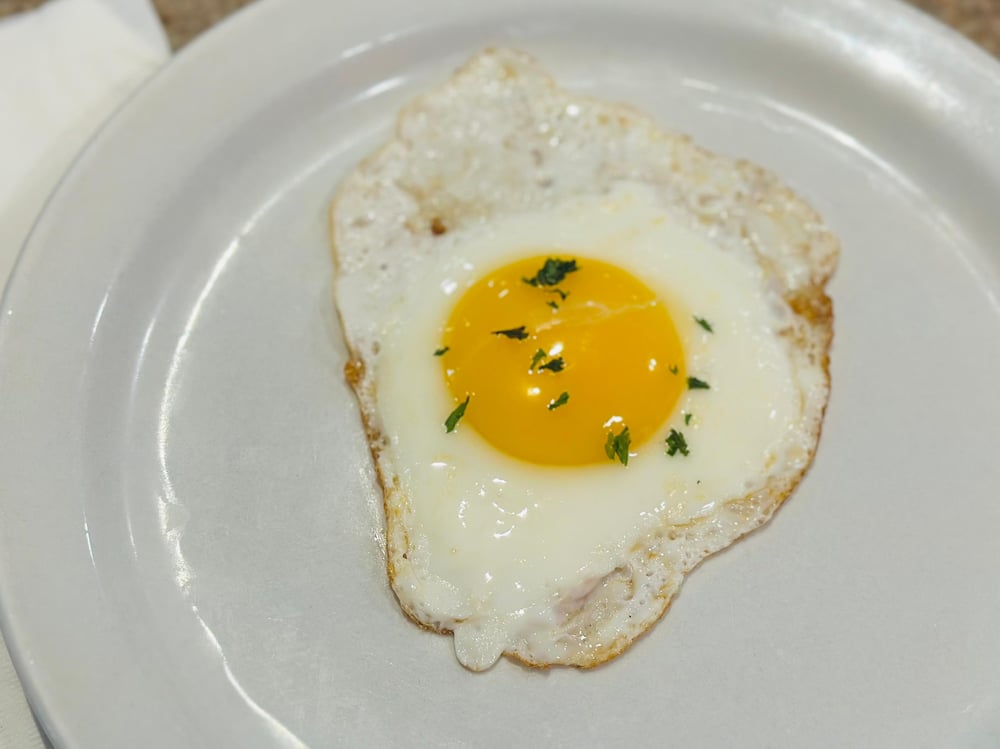 One Egg
