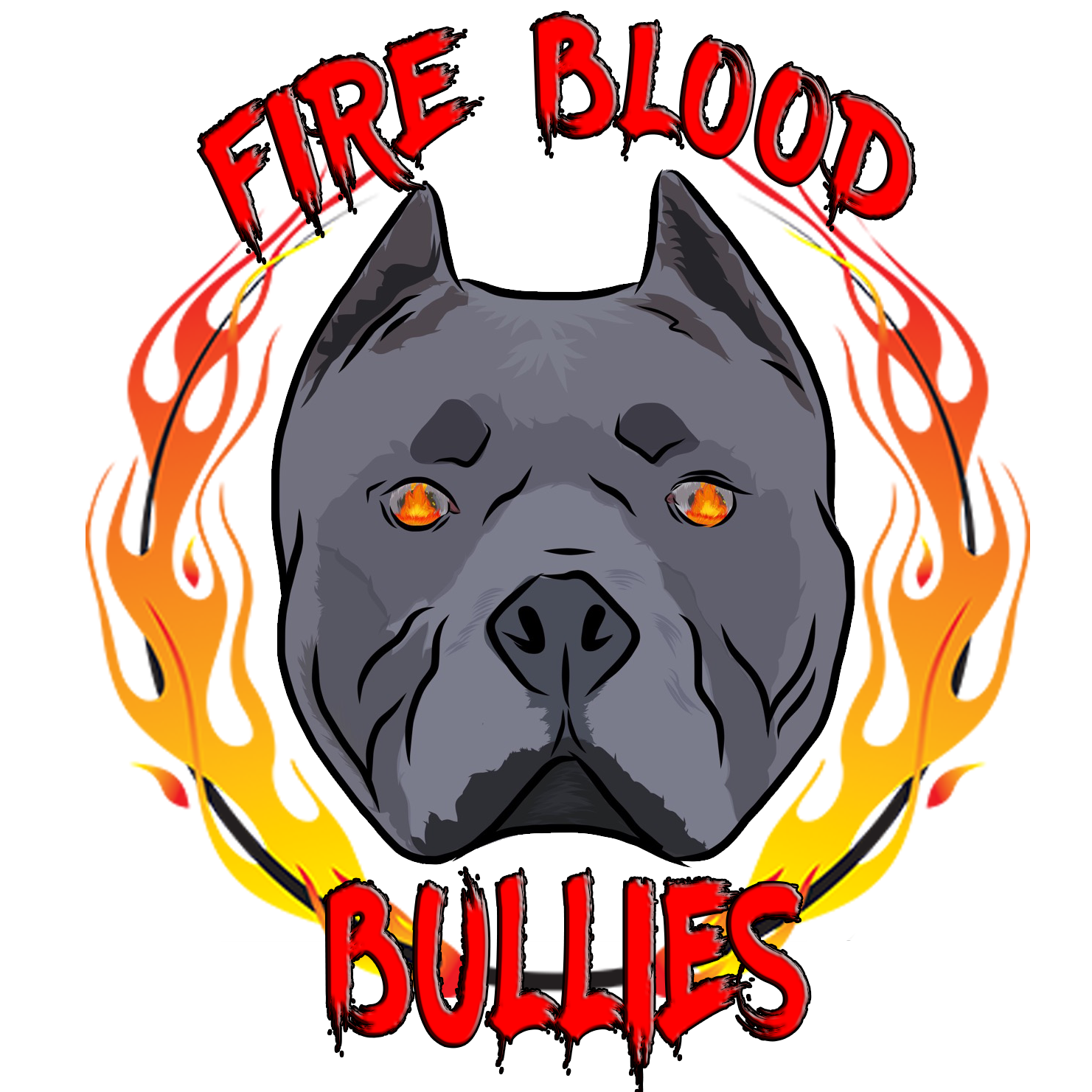Fire Blood Bullies
