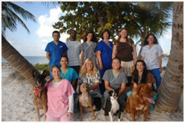 All Animal Clinic Image