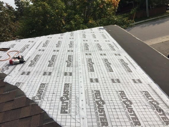 Images Bluemoon Roofing
