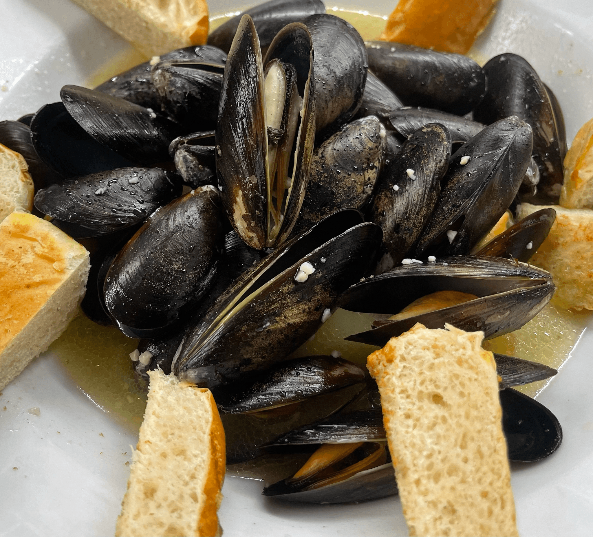 Mussels