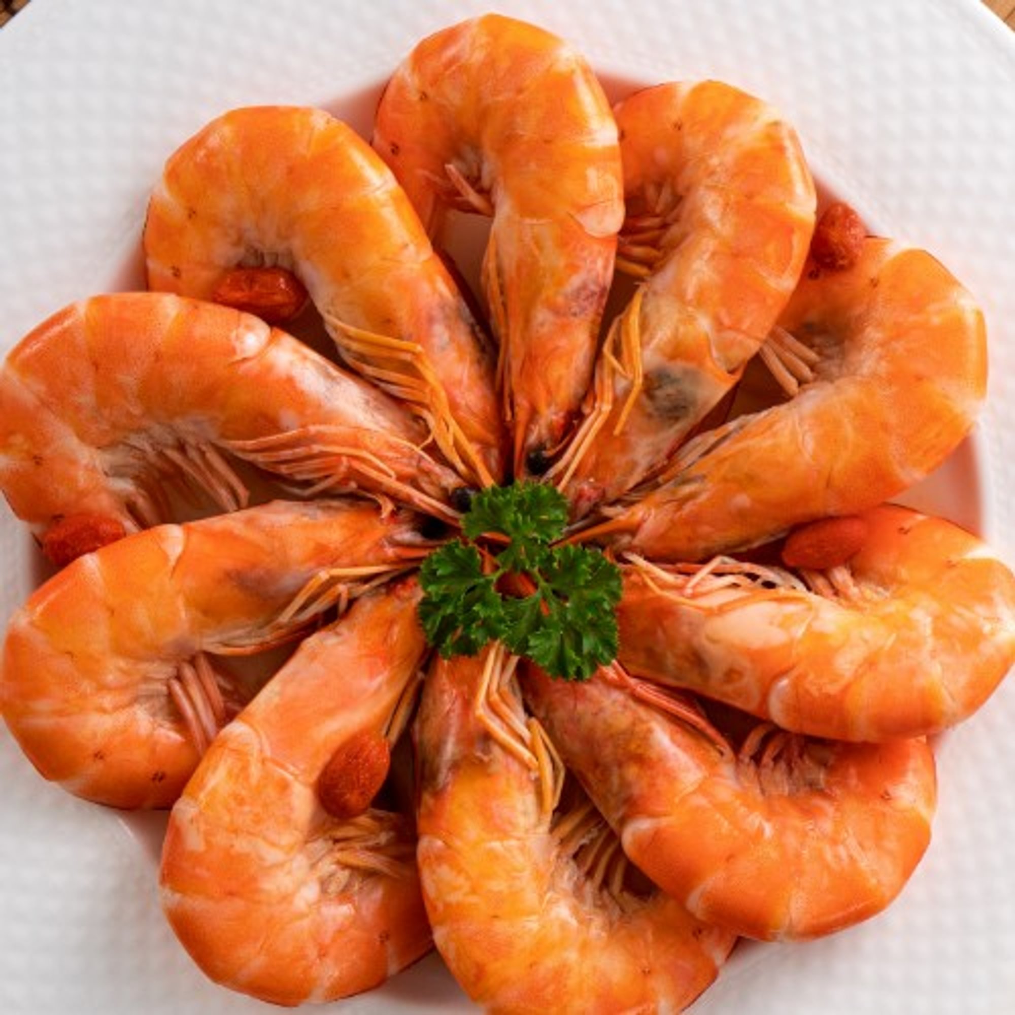 Shrimp
