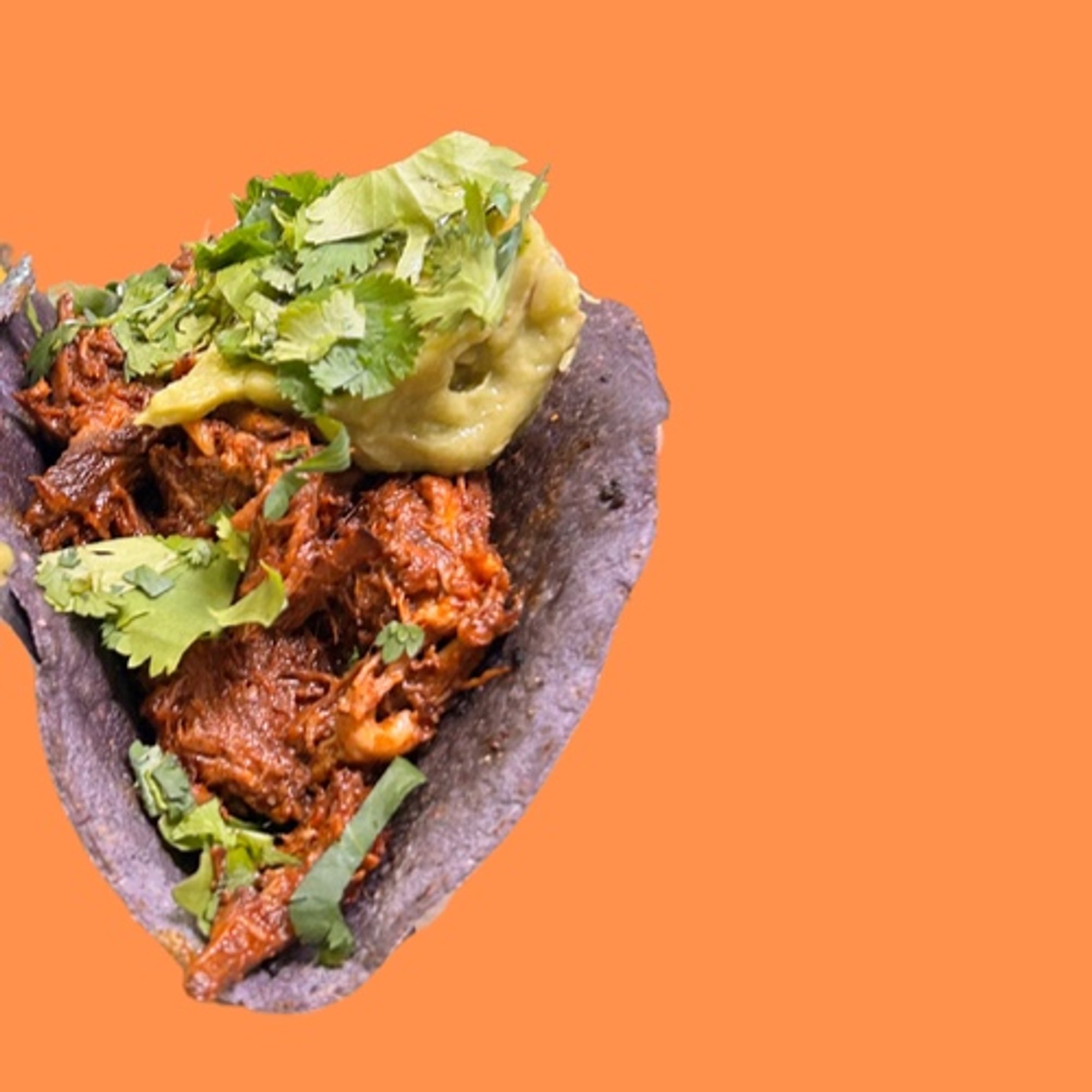Birria taco