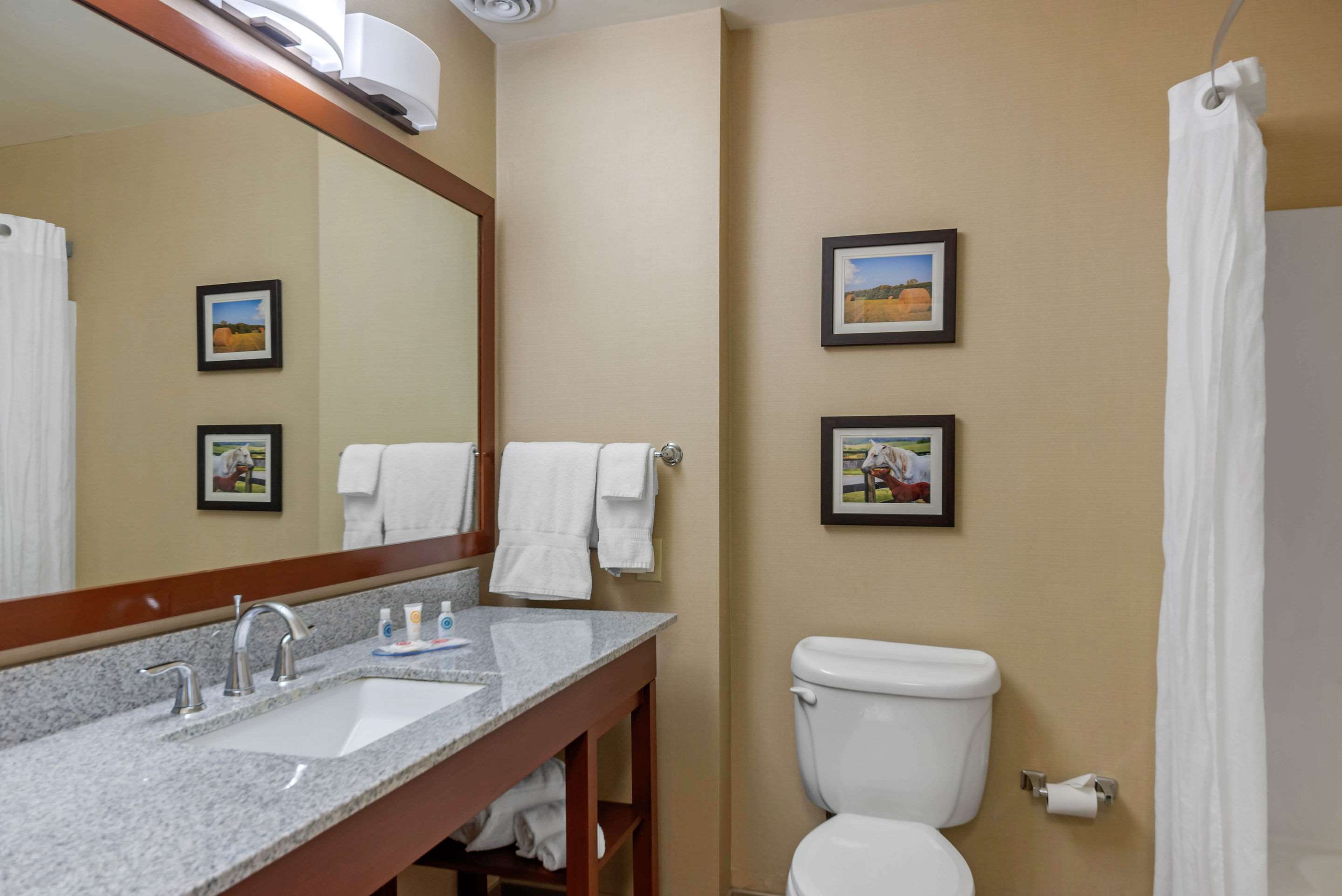 Comfort Inn & Suites Northern Kentucky Photo