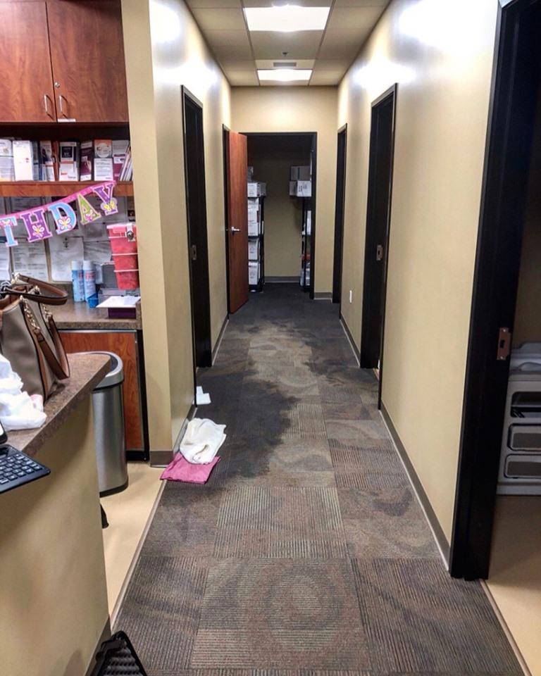 Superior Restoration Murrieta Image