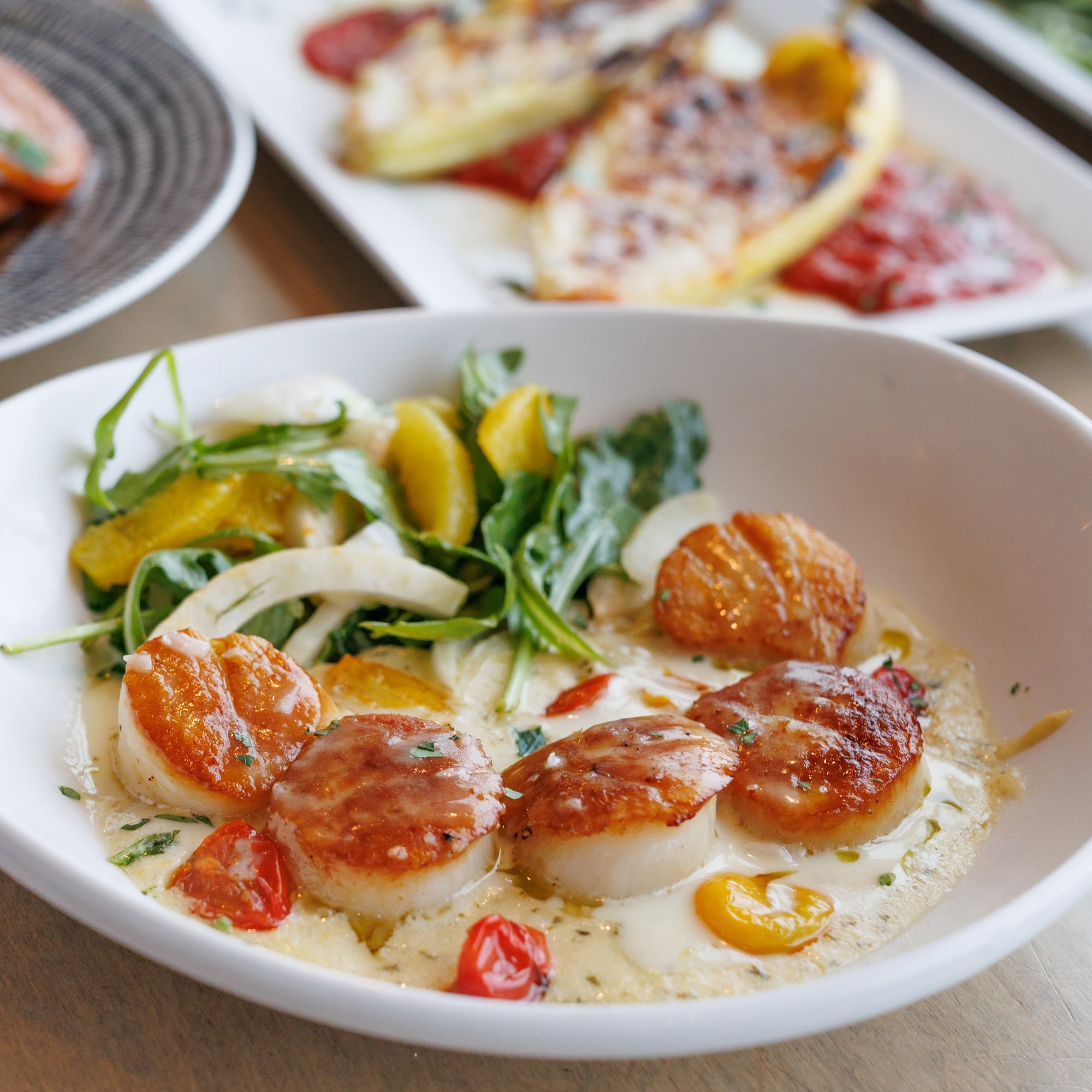 Sea Scallops