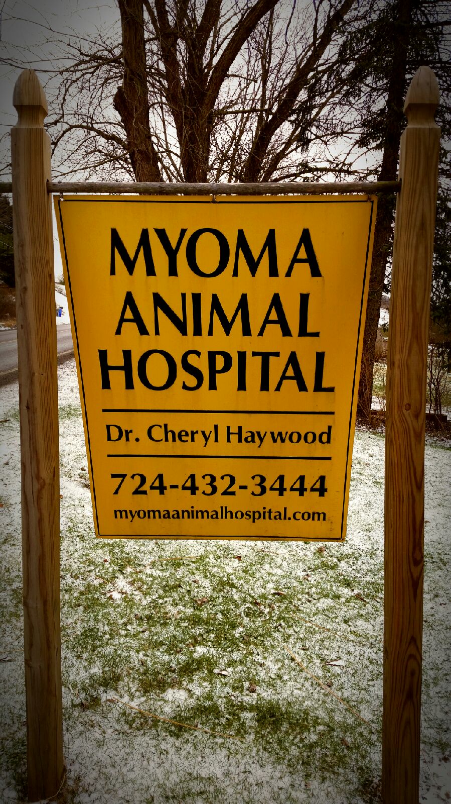 Myoma Animal Hospital-Cheryl Haywood Vmd Photo