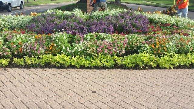 Design Landscaping & Tree Service Image