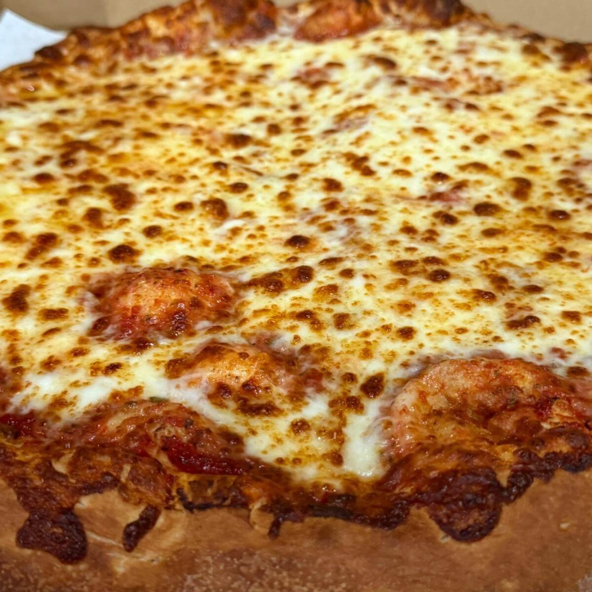 Cheese Pizza