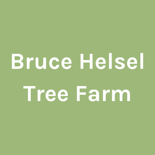 Bruce Helsel Tree Farm Logo