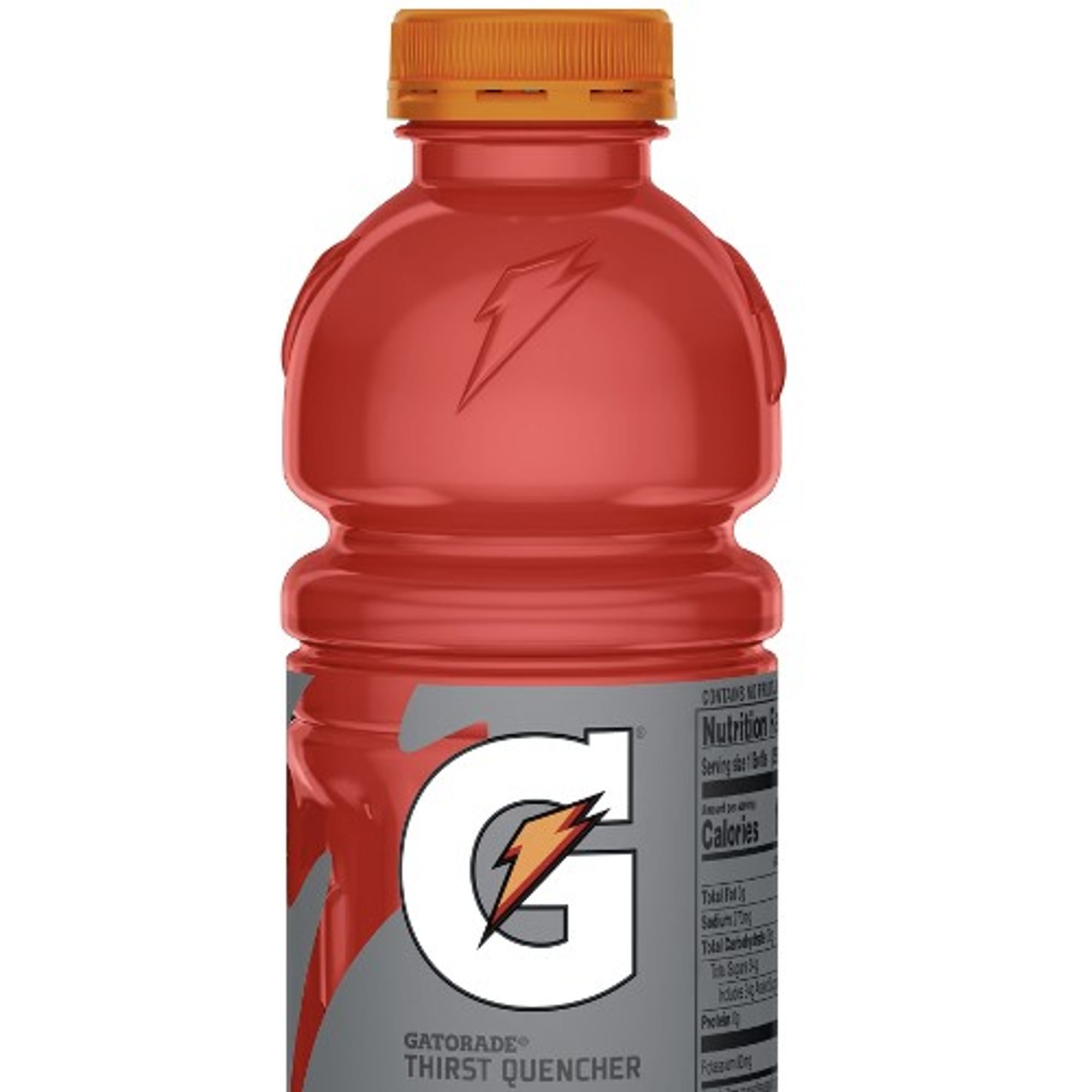 Gatorade Fruit Punch