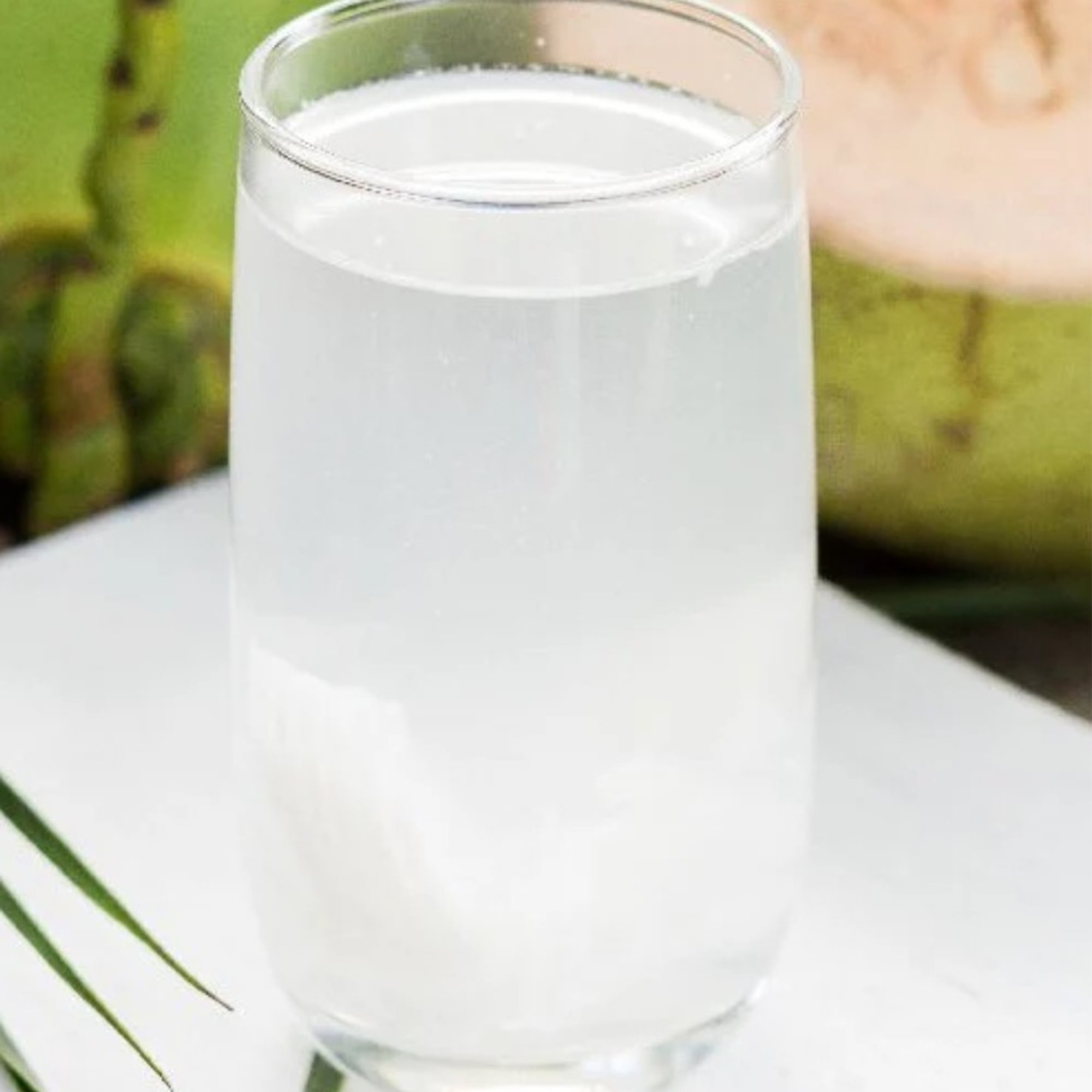 Young Coconut