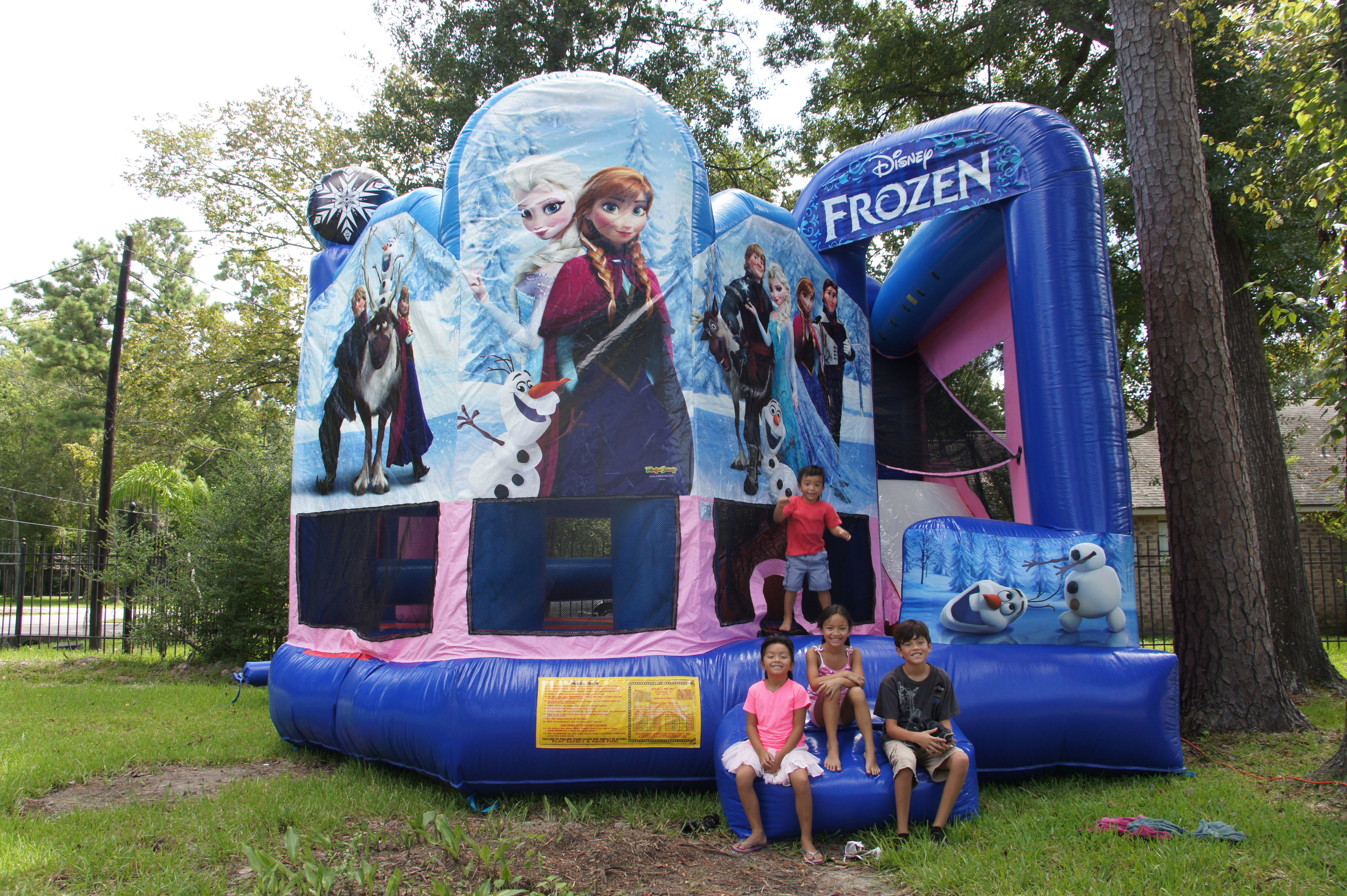 Frozen Bounce House Party Rentals in Houston, Texas and surrounding areas.