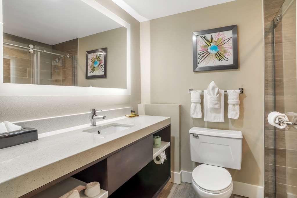 Best Western Plus Greenville I-385 Inn & Suites Image