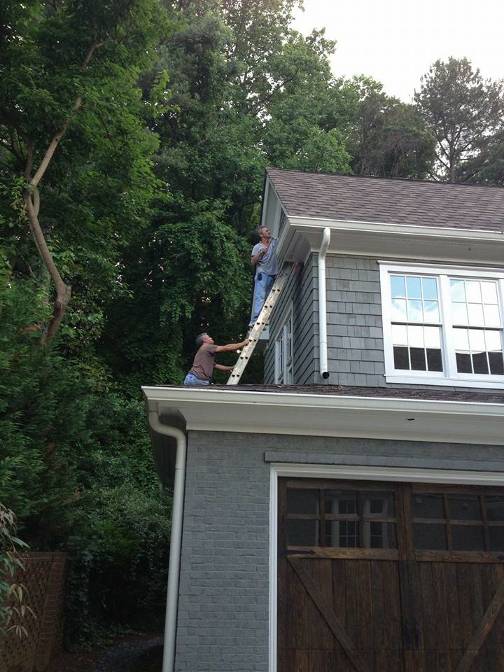 Southern Pro Termite and Pest Control Image