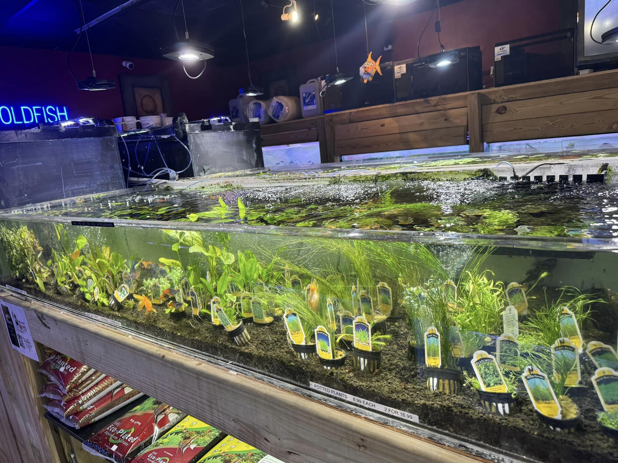 Tons of Aquarium Plants