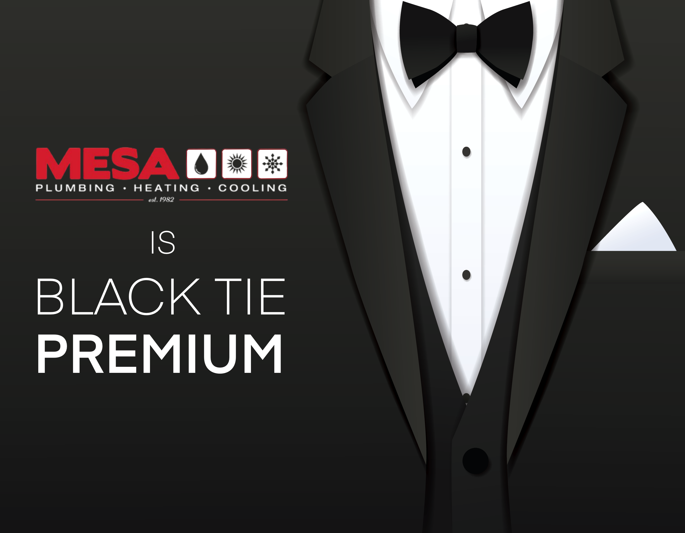 Mesa Plumbing, Heating and Cooling Image