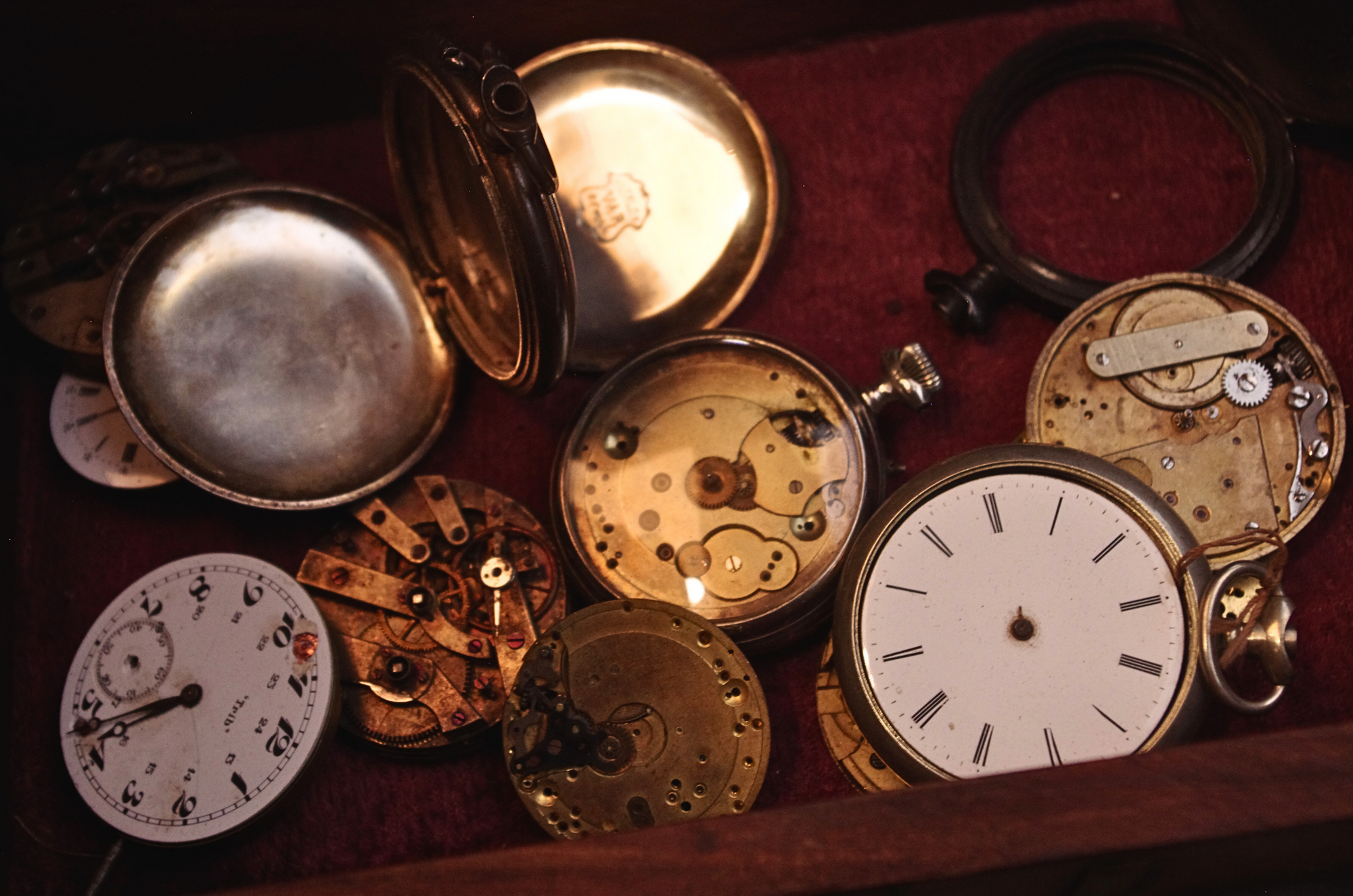 Miniature de la galerie