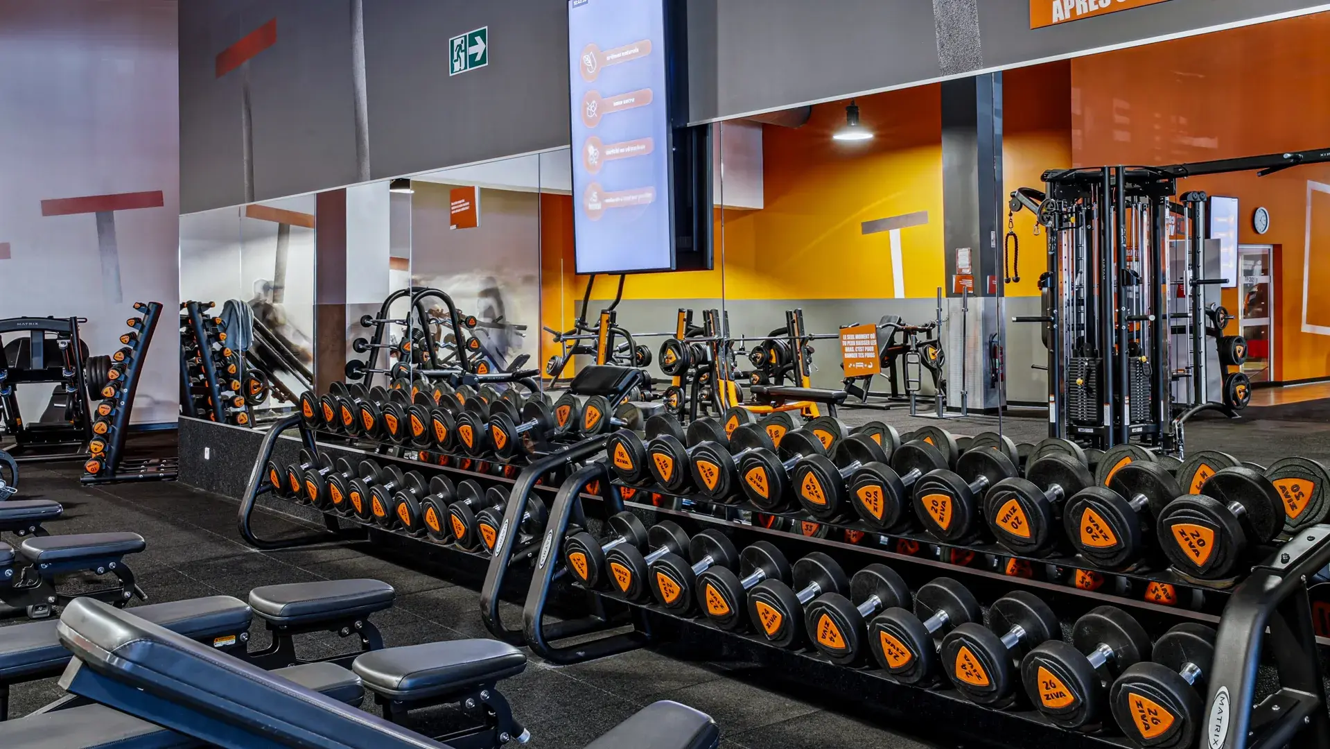 Miniature de la galerie