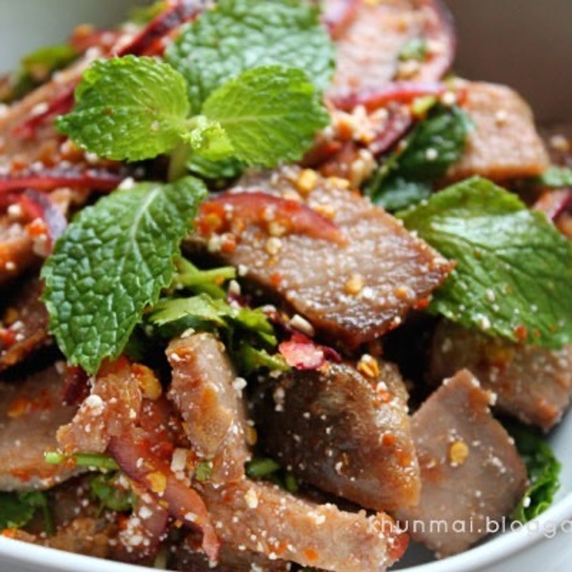 B8.Spicy E-Sarn Salad (Nam Tok)