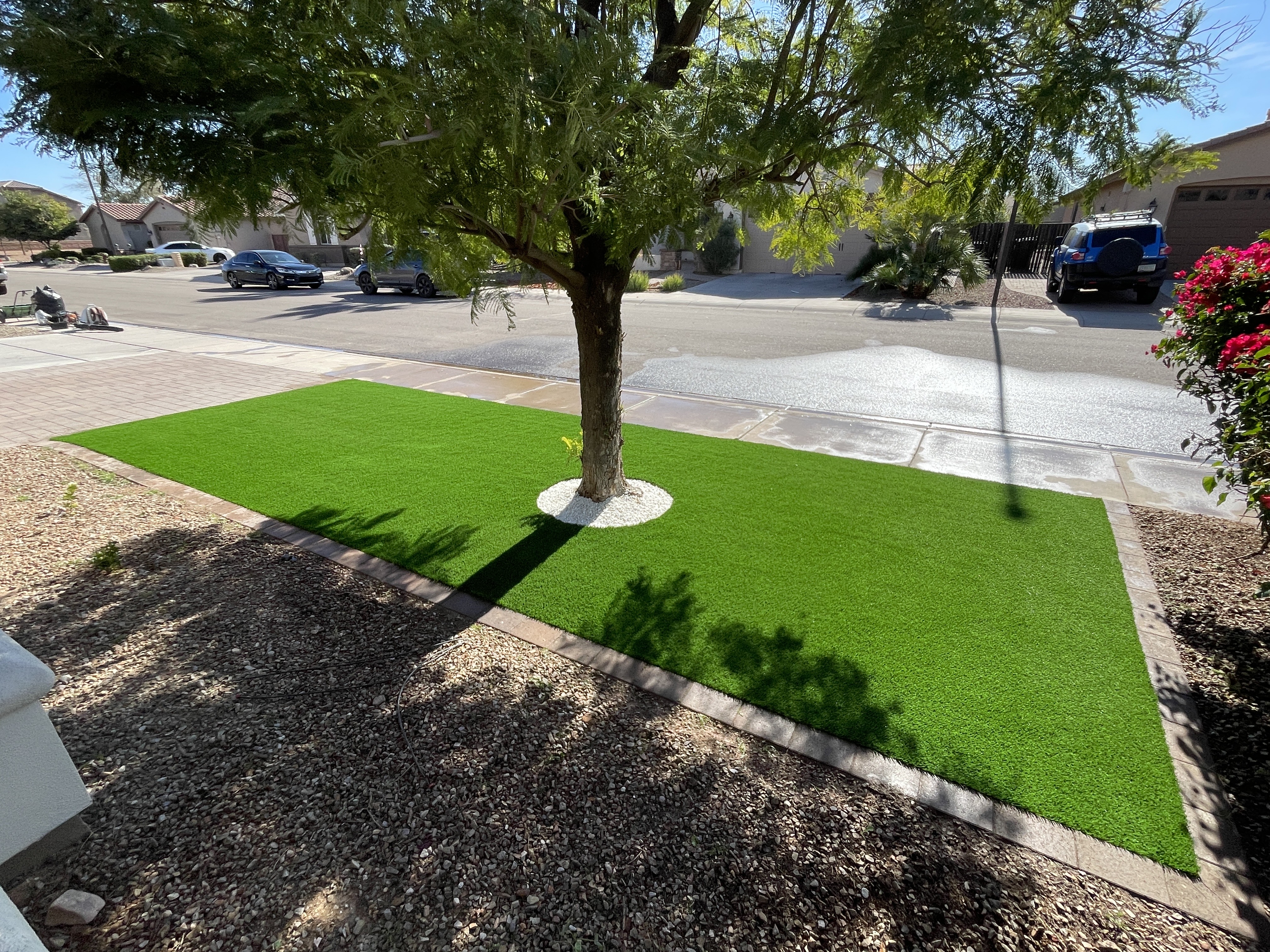 Waterloo Turf Scottsdale Image