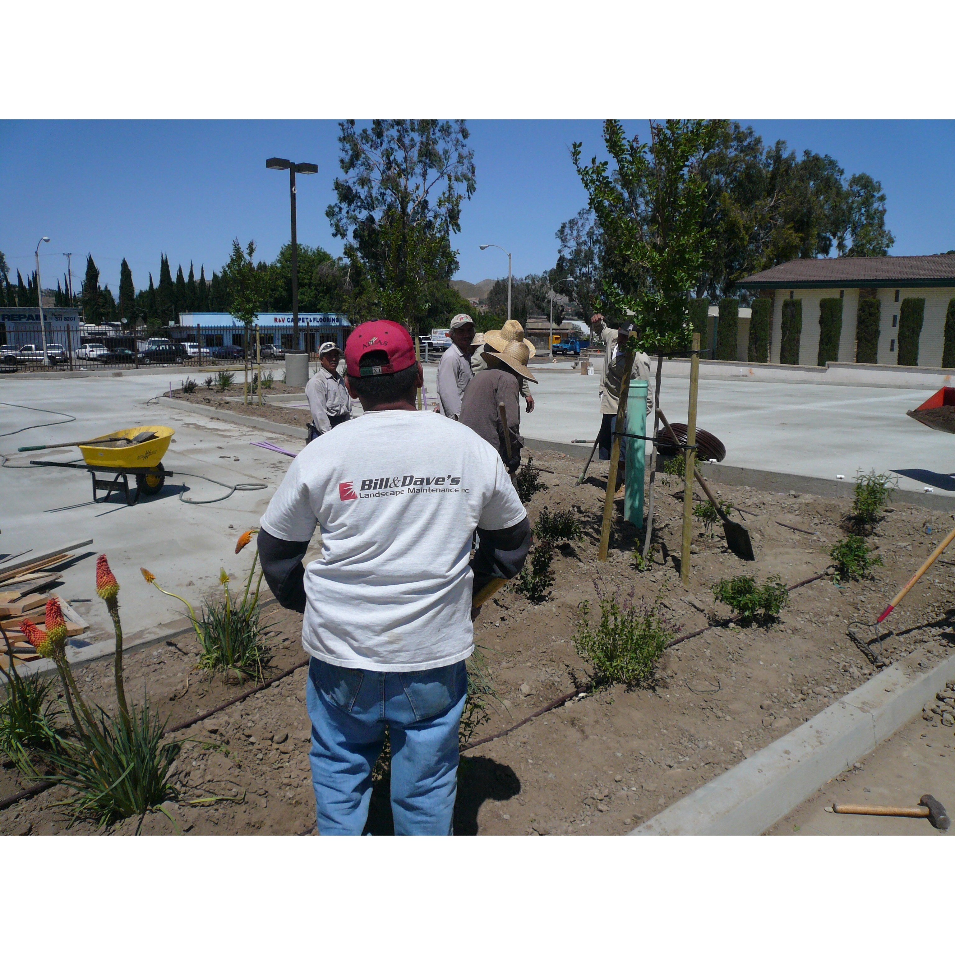 Bill and Daves Landscape Maintenance Logo