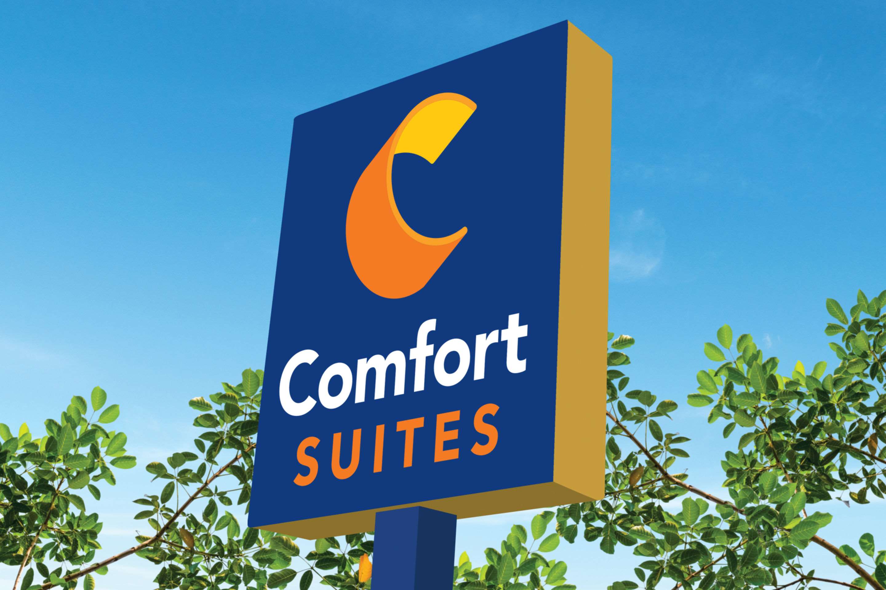 Comfort Suites Gainesville Near University Photo