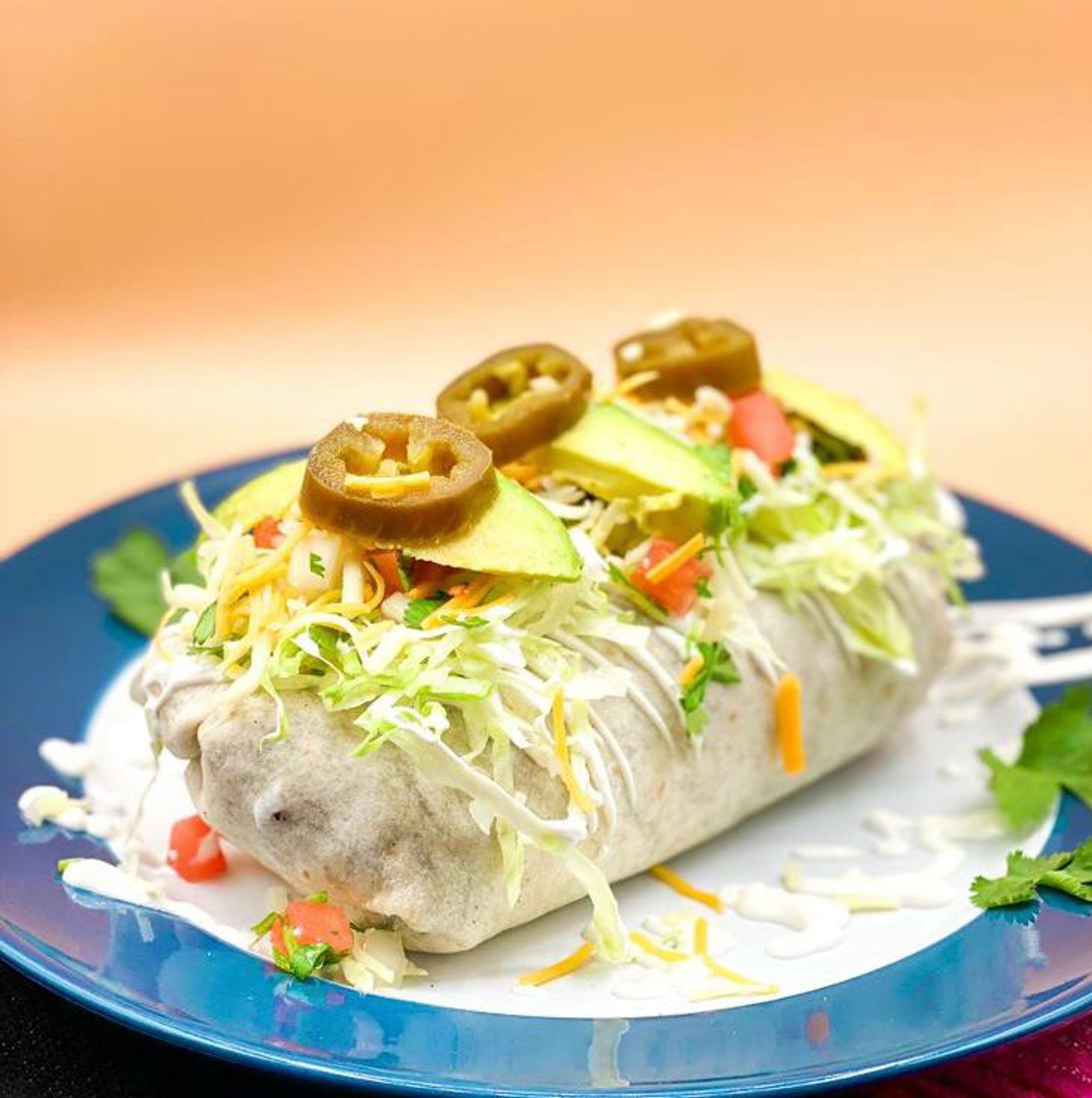 Chicken Burrito