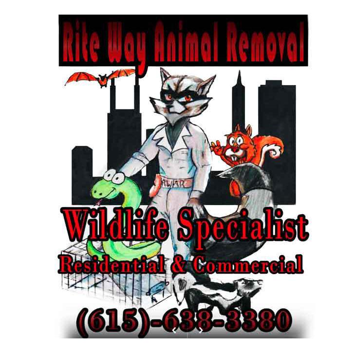 Rite Way Animal Removal