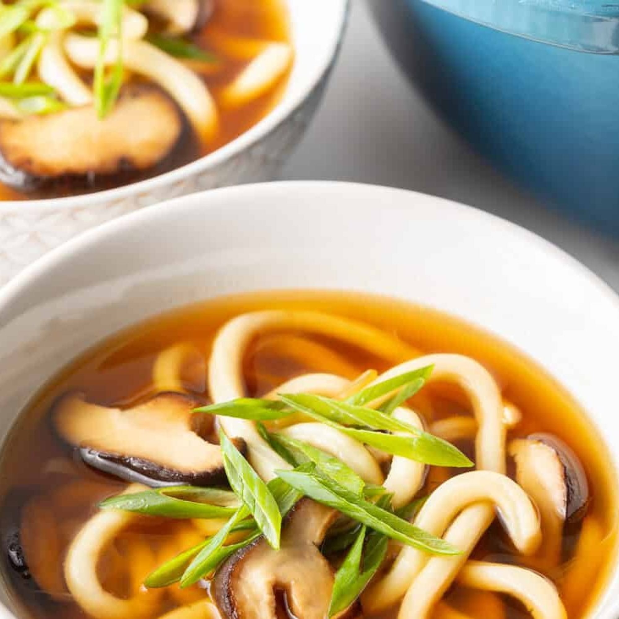 Tokyo Udon Soup