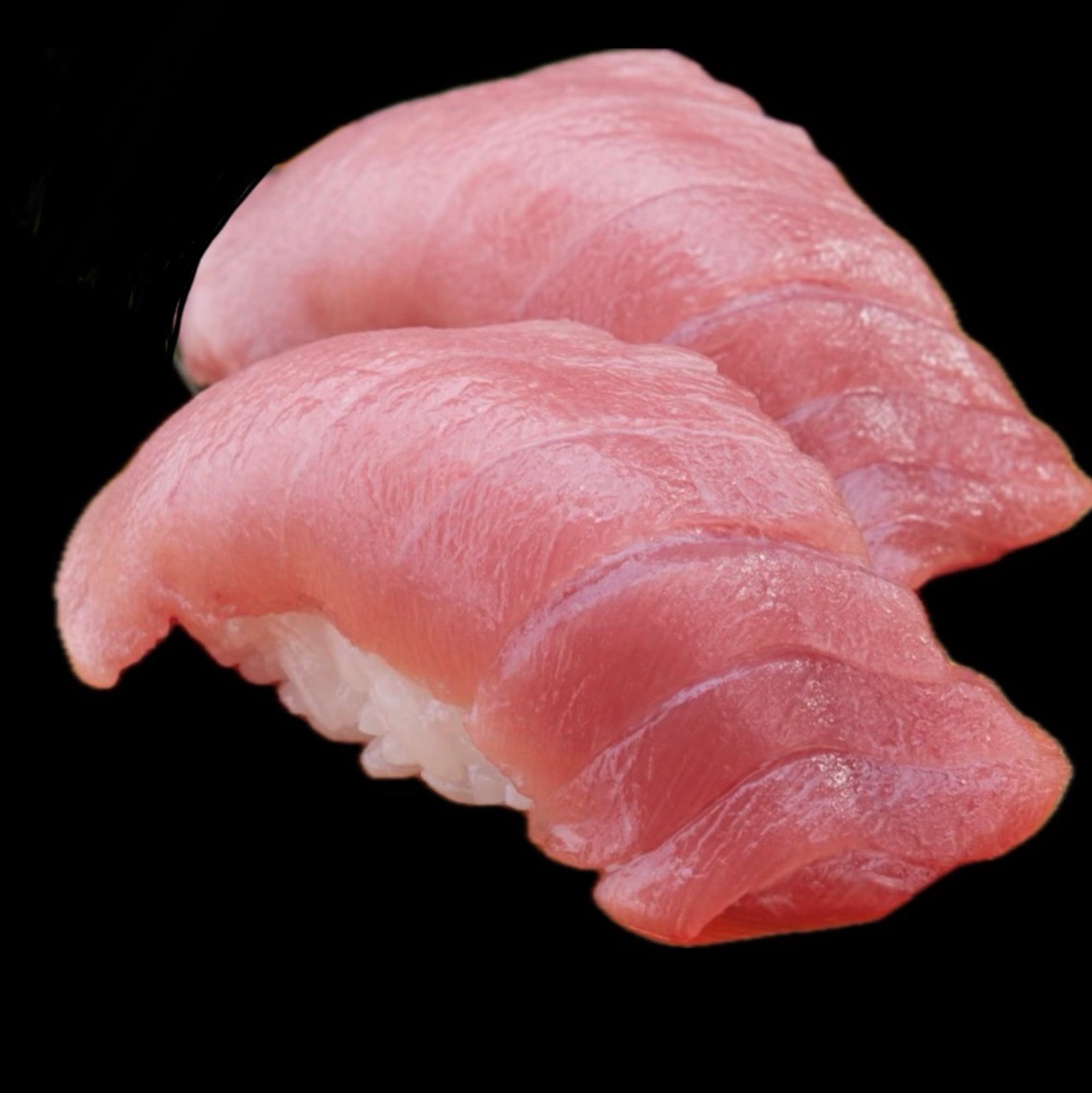 Albacore Toro