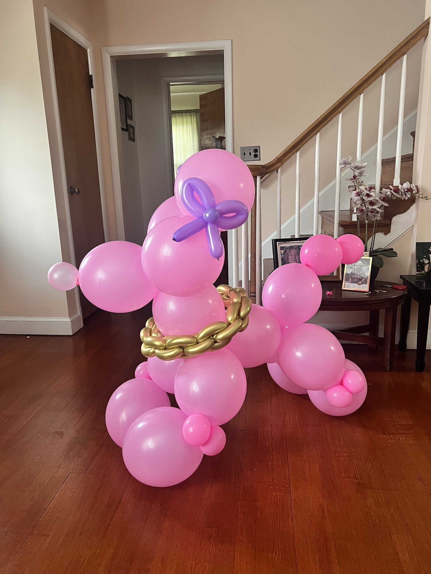 BaloOnies events Image