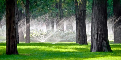 An Introduction to Sprinkler Systems