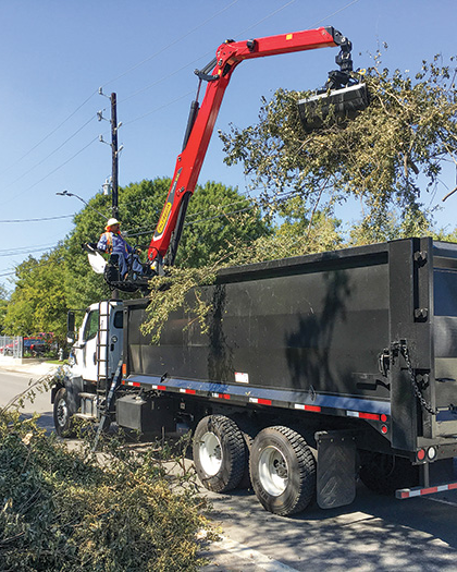 Grove Tree Service & Landscaping Image