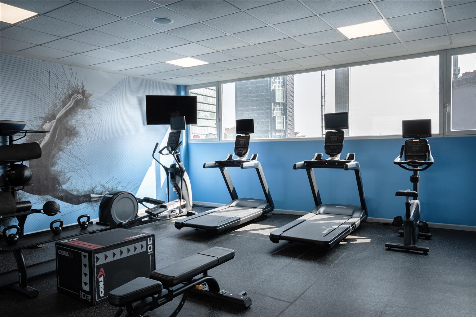 Galería en miniatura