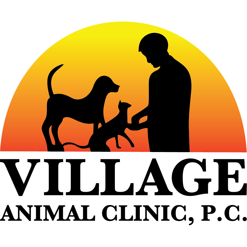 Village Animal Clinic Photo