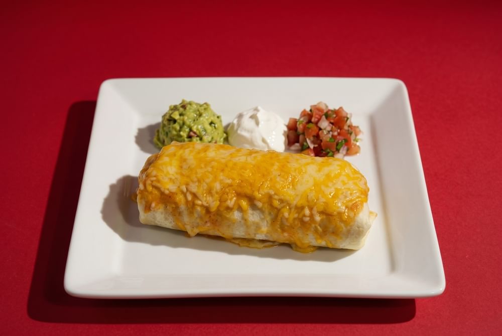 Chicken Burrito / Pollo