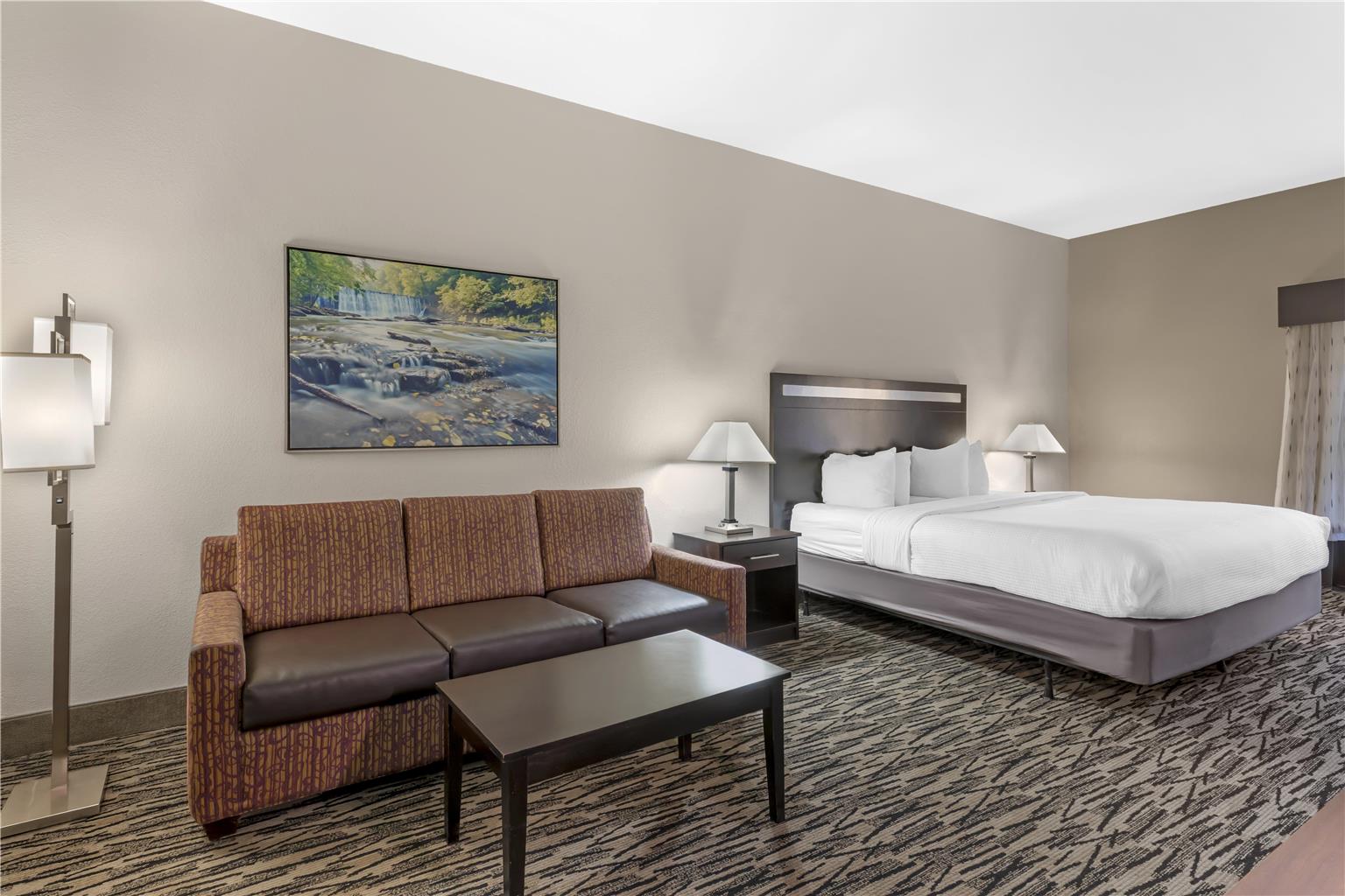 Best Western Plus McDonough Inn & Suites Image