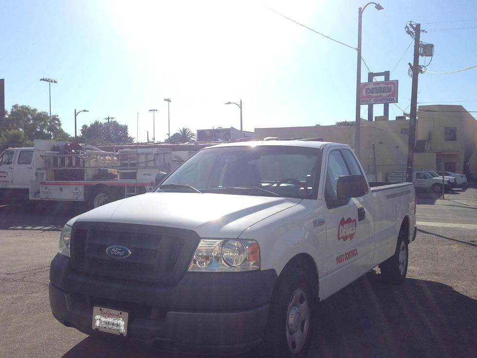 Dewey Pest & Termite Control Image